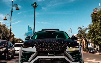 a0ce1b25-31b0-4224-8a4b-da897ae1a7f1